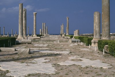 Main Colonnated Street by Roman